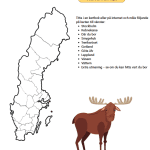 7 sidor arbetshäfte Sveriges nationaldag - bild 4