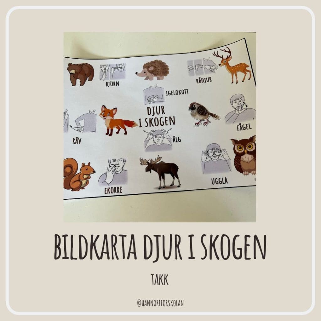 Bildkarta djur i skogen