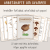 Höst -Svampboken - svampens delar och livscykel - arbetshäfte
