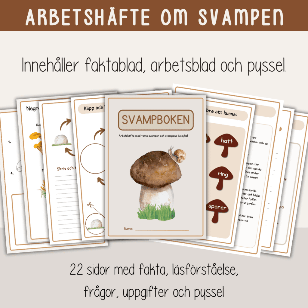 Höst -Svampboken – svampens delar och livscykel – arbetshäfte