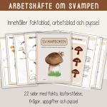 Höst -Svampboken – svampens delar och livscykel – arbetshäfte - bild 1