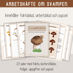 Höst -Svampboken - svampens delar och livscykel - arbetshäfte