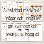 Höst -Svampboken – svampens delar och livscykel – arbetshäfte - bild 2