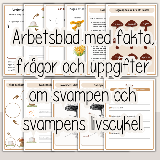 Höst -Svampboken - svampens delar och livscykel - arbetshäfte