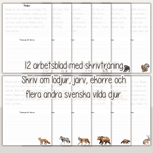 Stora skrivträningspaketet - 84 arbetsblad med 7 olika teman
