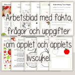 Höst – Äppelboken – äpplets delar, livscykel, pyssel och recept. - bild 3