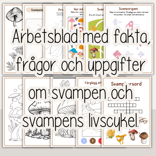 Höst -Svampboken - svampens delar och livscykel - arbetshäfte