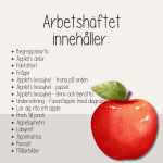 Höst – Äppelboken – äpplets delar, livscykel, pyssel och recept. - bild 4