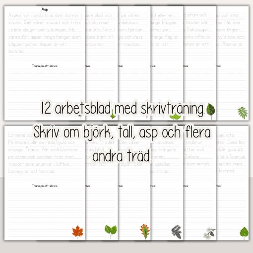 Stora skrivträningspaketet - 84 arbetsblad med 7 olika teman