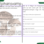 Min bok om svampar -enklare version - bild 4