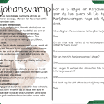 Min bok om svampar - bild 4