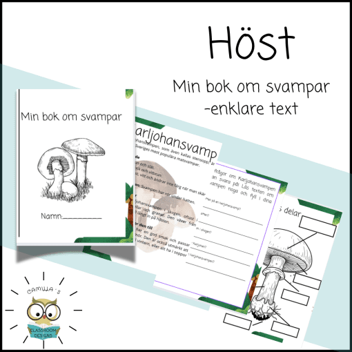 Min bok om svampar -enklare version