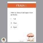 Tipspromenad – Höst - bild 1