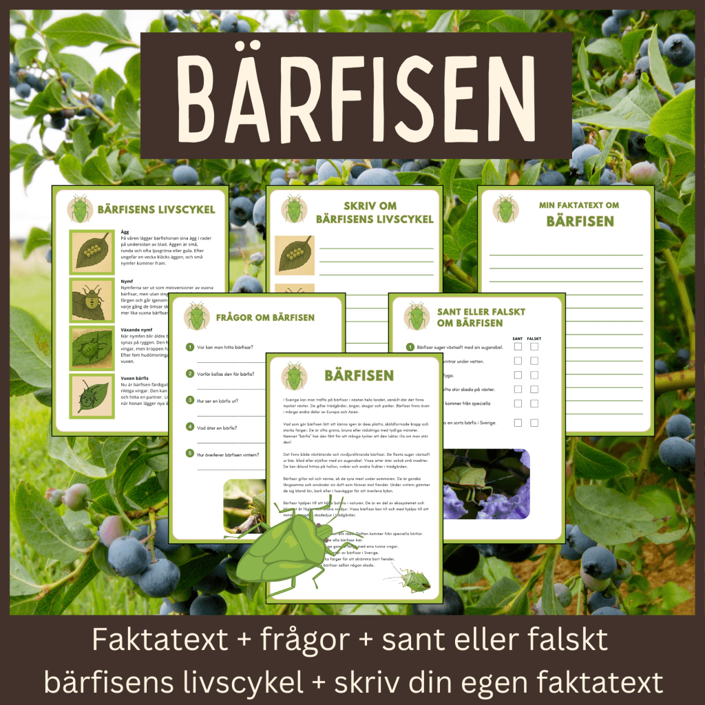 Bärfisen – läsförståelse och skrivuppgifter
