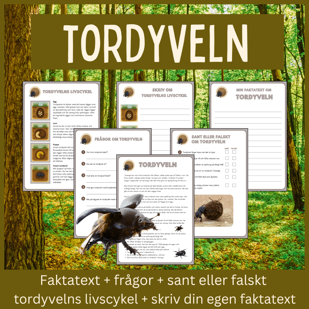 Tordyveln – läsförståelse och skrivuppgifter