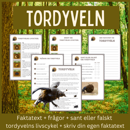 Tordyveln – läsförståelse och skrivuppgifter