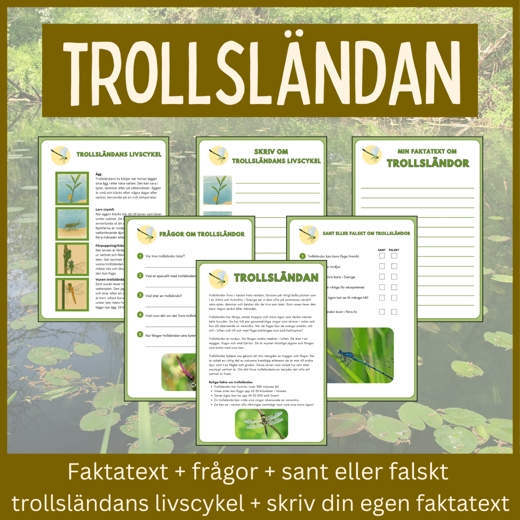 Trollsländan – läsförståelse och skrivuppgifter