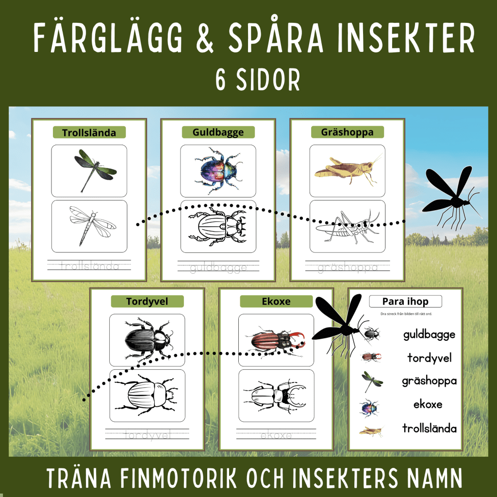 Färglägg och spåra insekter