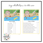 True or false 1 - bild 2