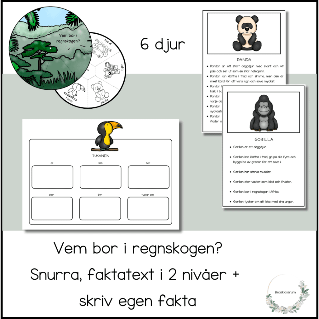 Vem bor i regnskogen?