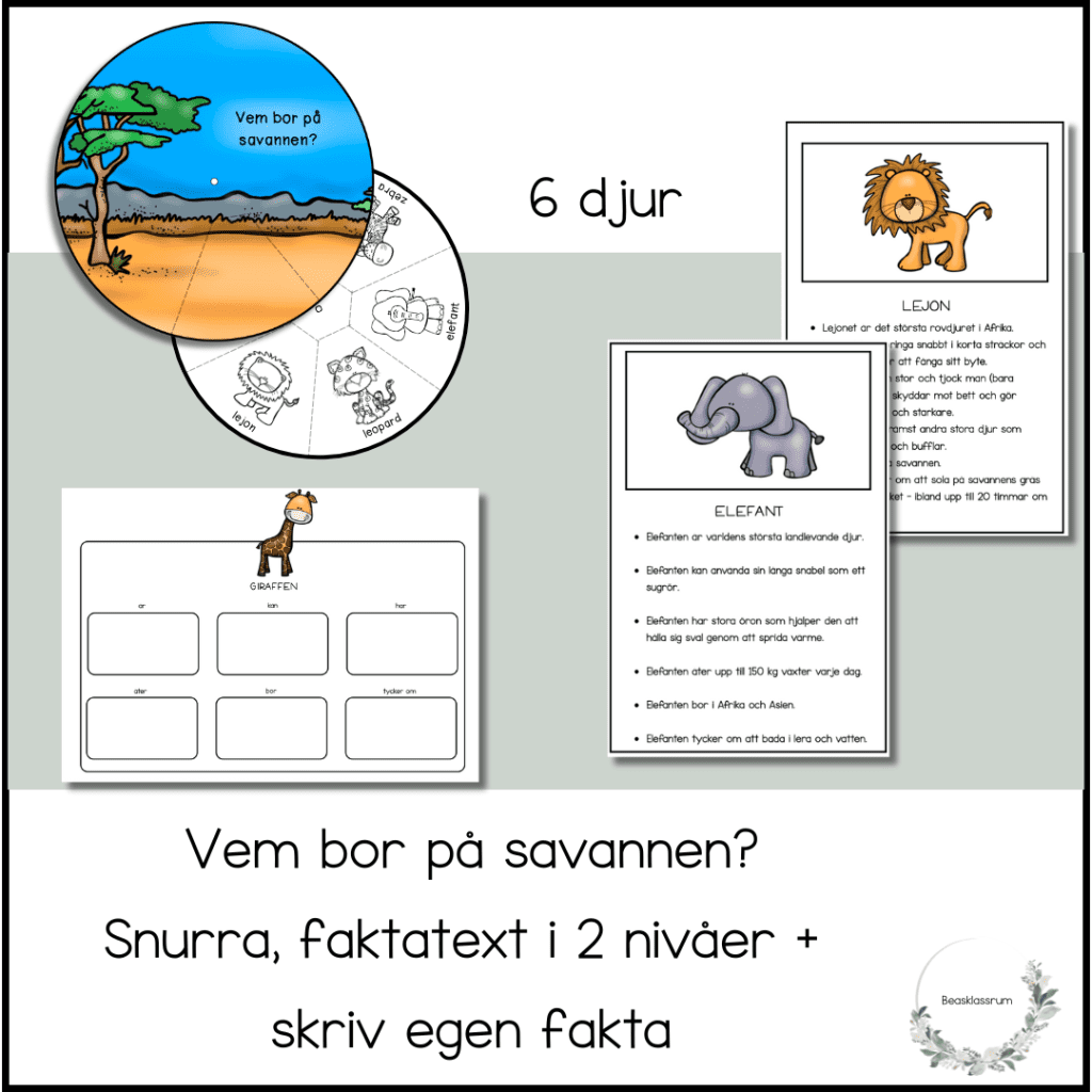 Vem bor på savannen?