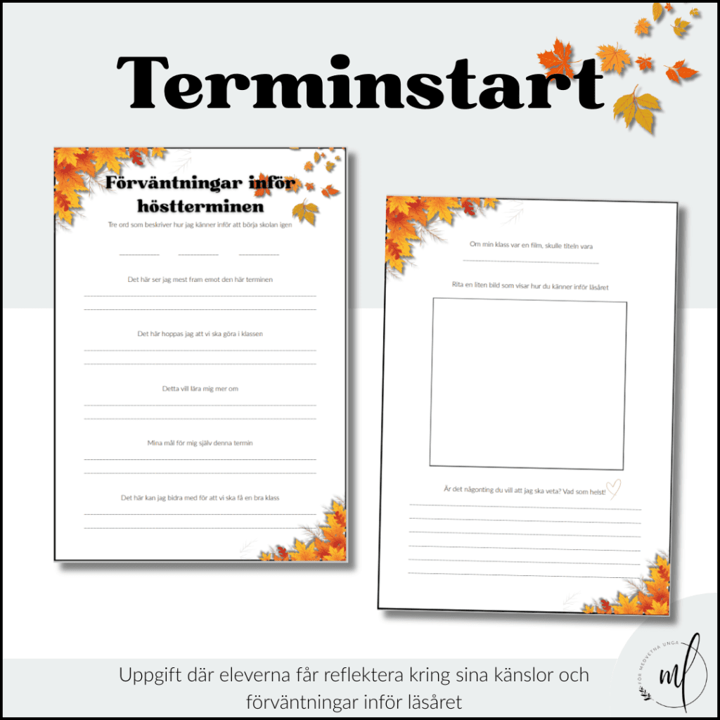 Förväntningar inför höstterminen