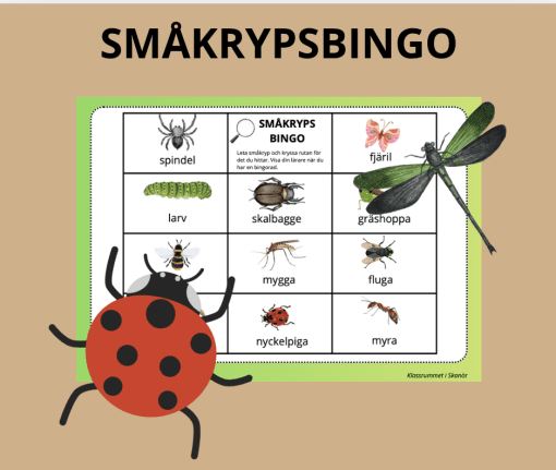Småkrypsbingo