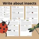 Facts about insects and spiders – Flash cards - bild 2