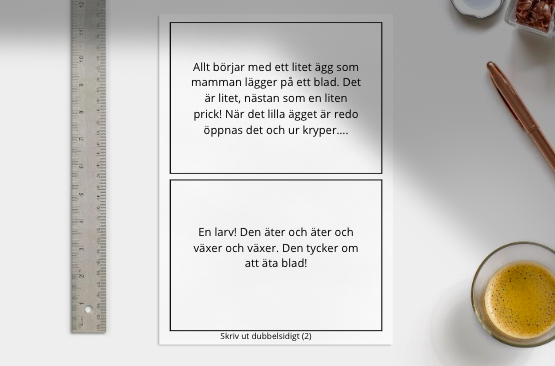 Faktakort - FjÀrilens livscykel (dubbelsidigt)