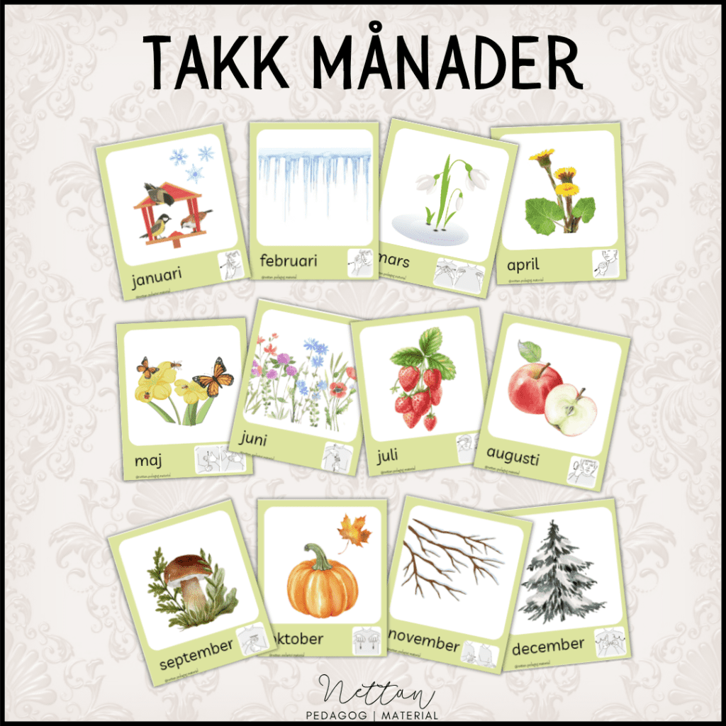 TAKK månader grön