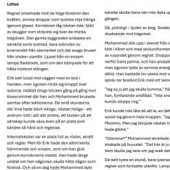 Litteratur och kultur 2 Novellanalys