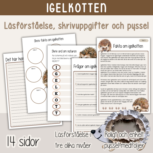 Arbete om Igelkotten - Läsförståelse tre nivåer, skrivuppgifter och pyssel
