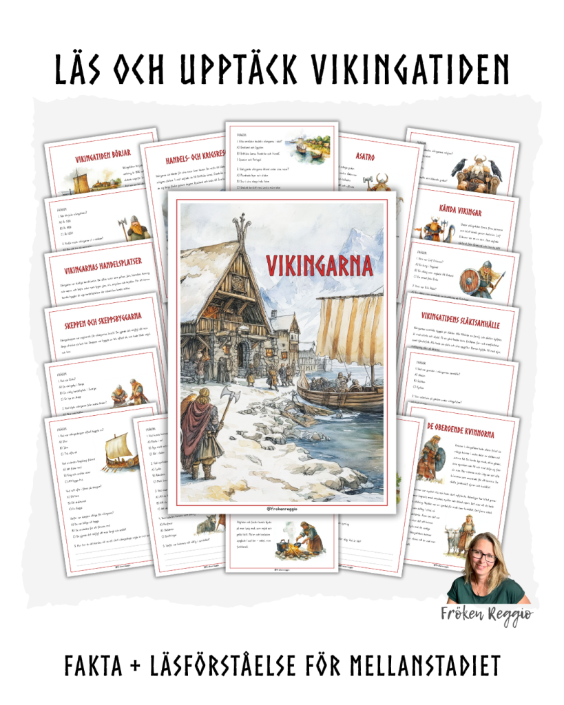 Läs och upptäck Vikingatiden
