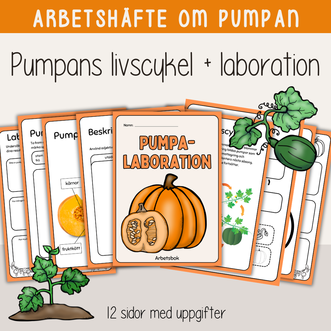 Höst - Laboration med pumpa - Pumpans livscykel - Arbetshäfte