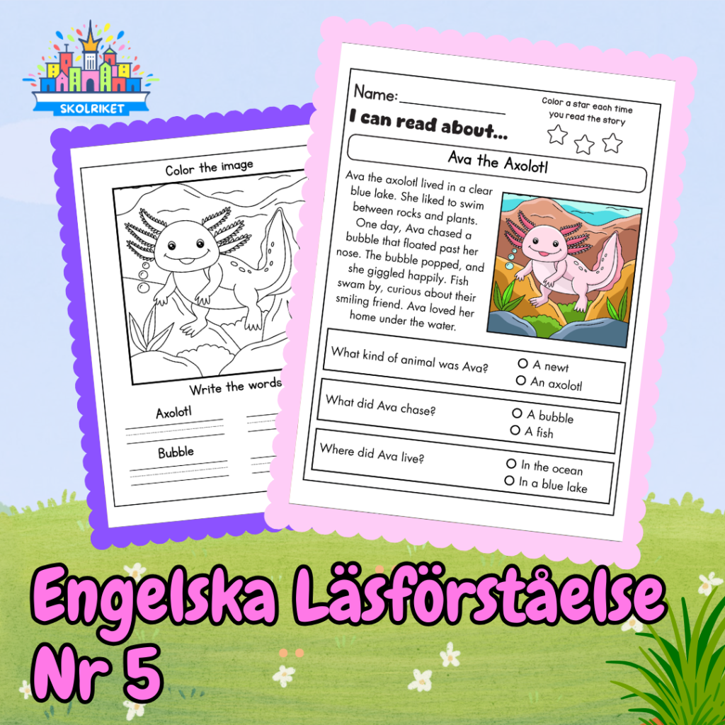 Engelska Läsförståelse Nr 5