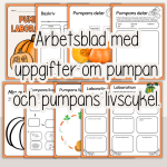 Höst – Laboration med pumpa – Pumpans livscykel – Arbetshäfte - bild 2