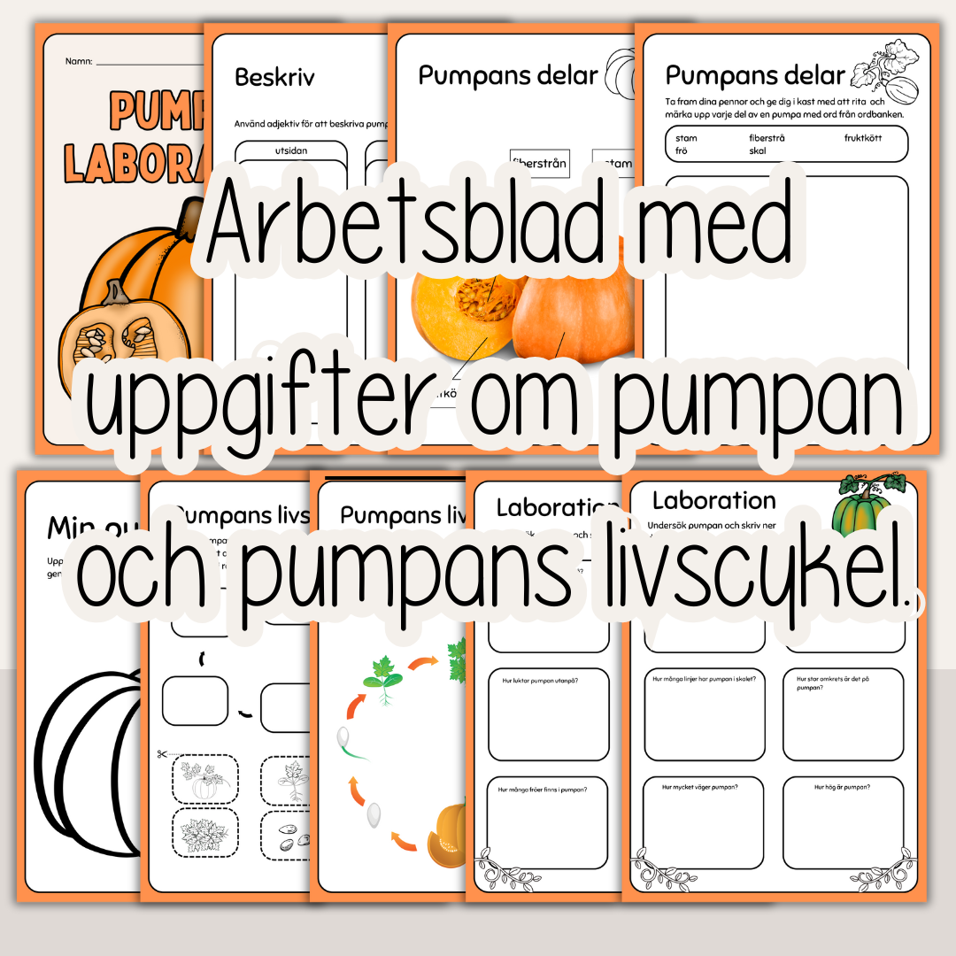 Höst - Laboration med pumpa - Pumpans livscykel - Arbetshäfte