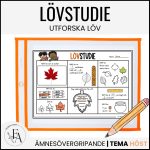 Lövstudie: Utforska löv - bild 1