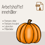 Höst – Laboration med pumpa – Pumpans livscykel – Arbetshäfte - bild 3