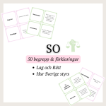 SO flashcards – begrepp & förklaringar (lag och rätt, hur Sverige styrs). - bild 1