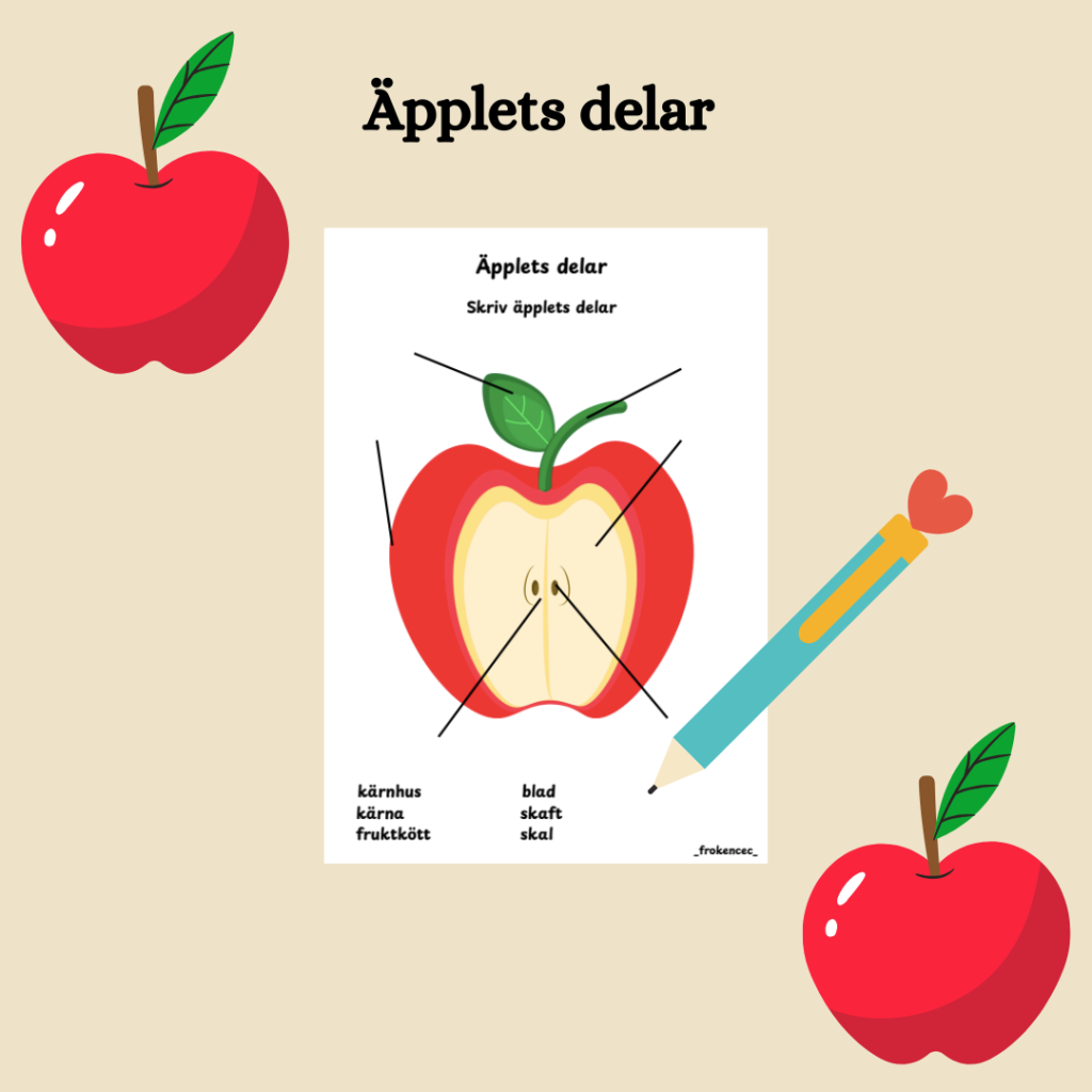 Äpplets delar