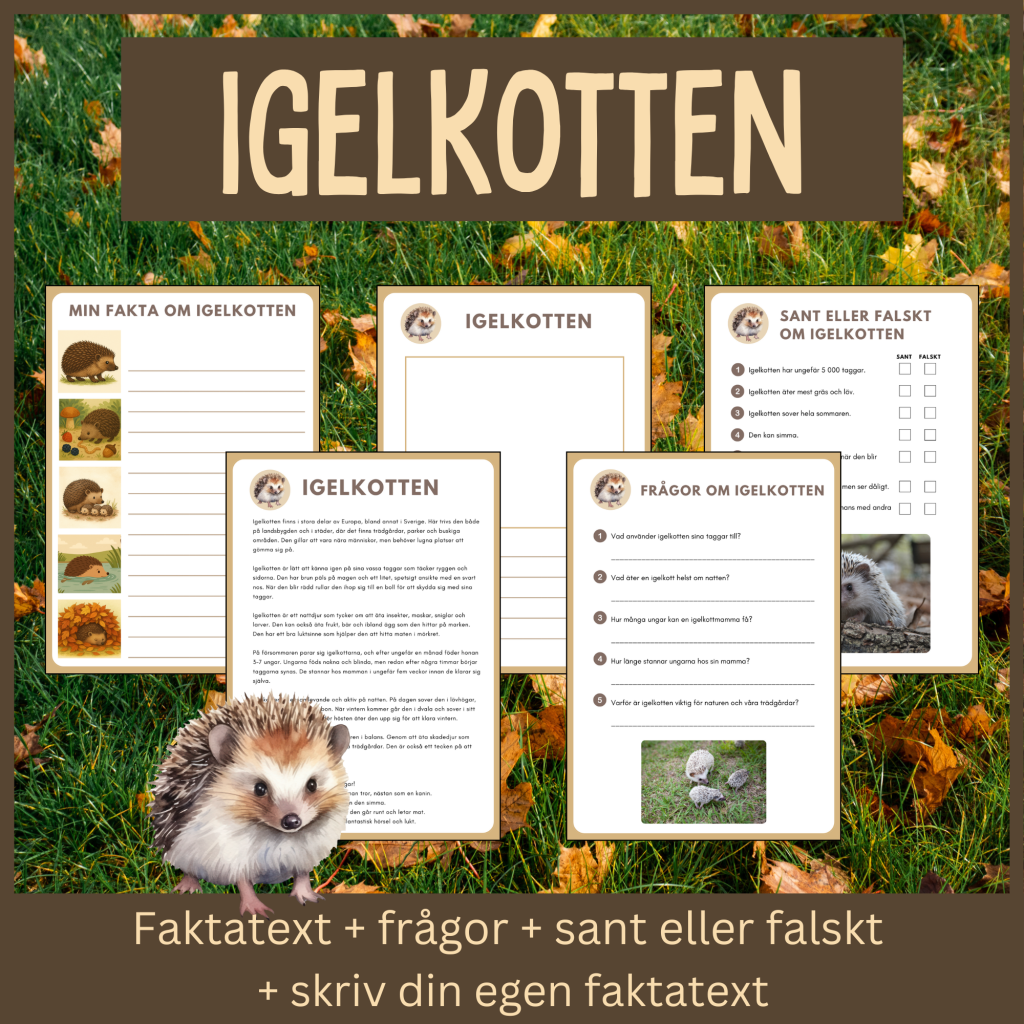 Igelkotten – läsförståelse och skrivuppgifter