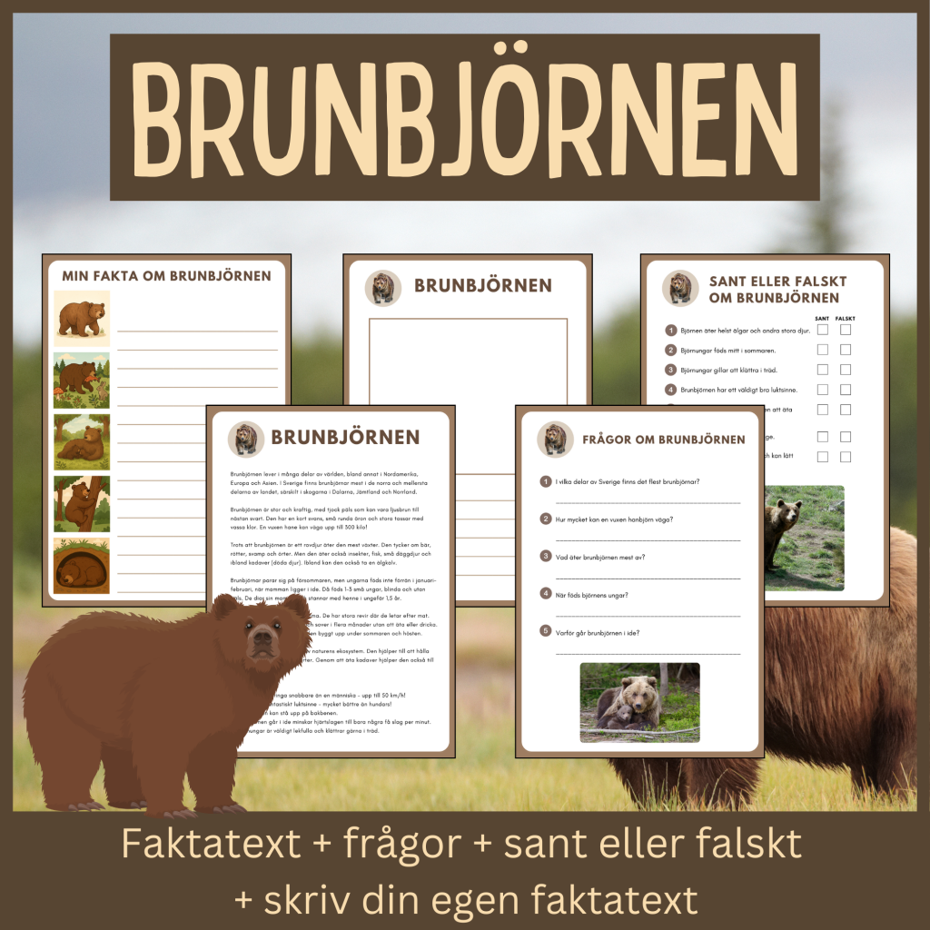 Brunbjörnen – läsförståelse och skrivuppgifter
