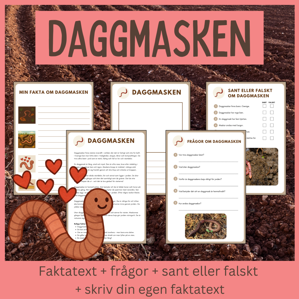 Daggmasken – läsförståelse och skrivuppgifter