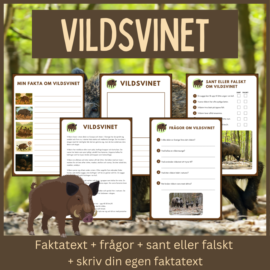 Vildsvinet – läsförståelse och skrivuppgifter