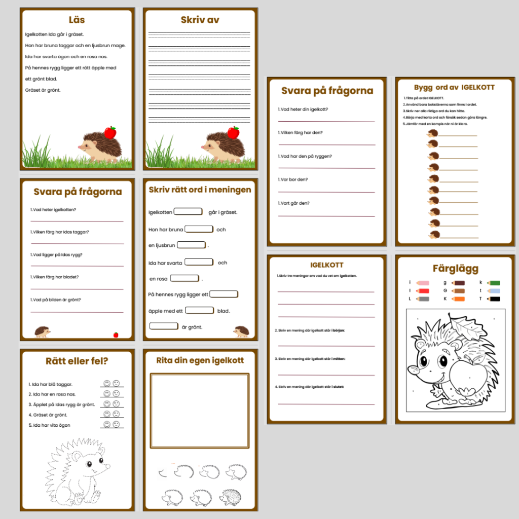 Igelkotten Ida-läs, skriv och skapa