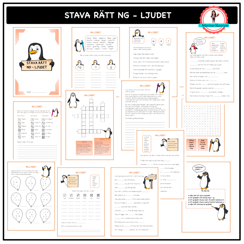 Stava rätt NG-ljudet