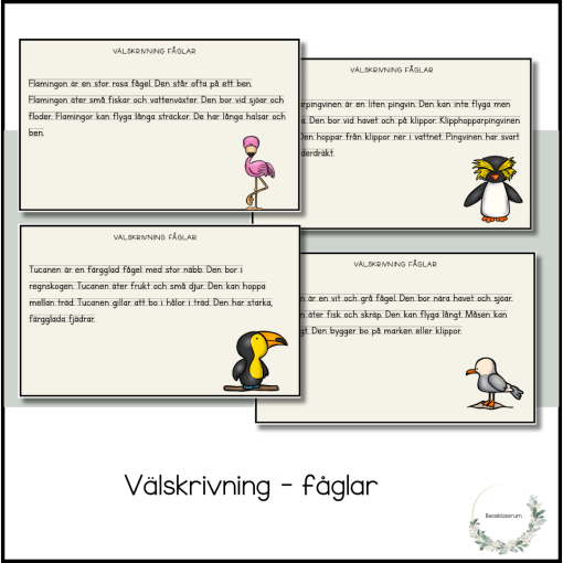 Välskrivning - fåglar