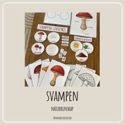 Svampen