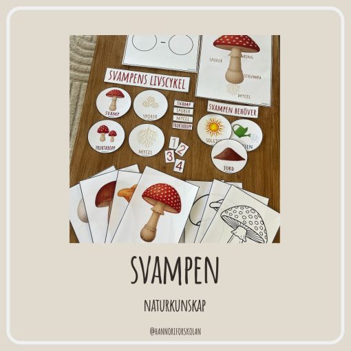 Svampen